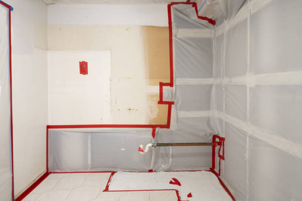 Best Post-Remediation Verification Testing  in San Joaquin, CA