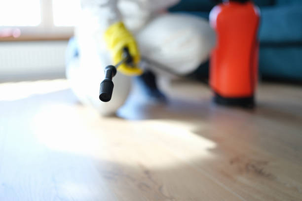 Best Airborne Mold Testing  in San Joaquin, CA