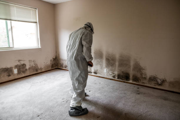 Best Residential Mold Inspection & Testing  in San Joaquin, CA